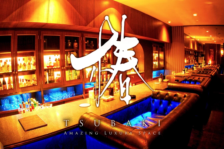 Amazing Luxury Space 椿