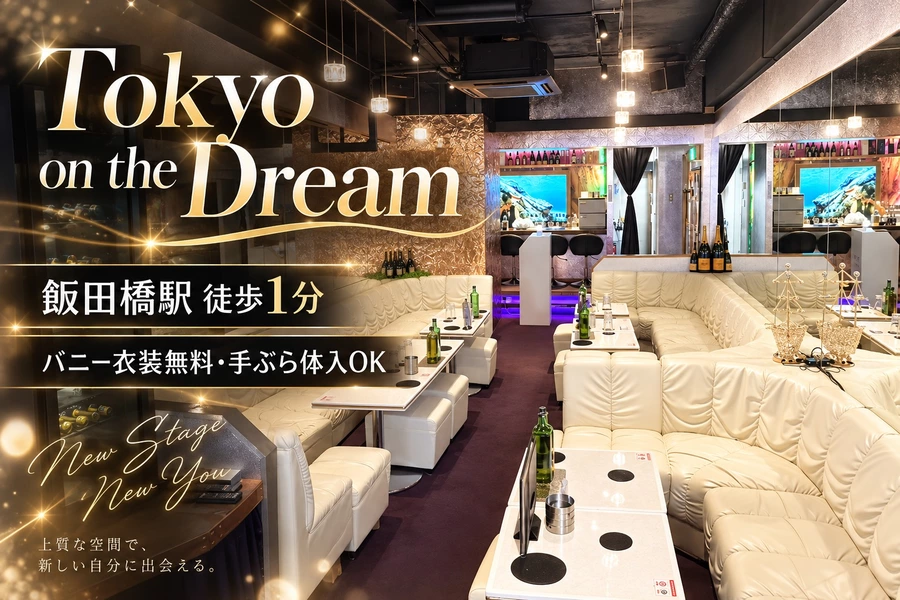 Tokyo on the Dream