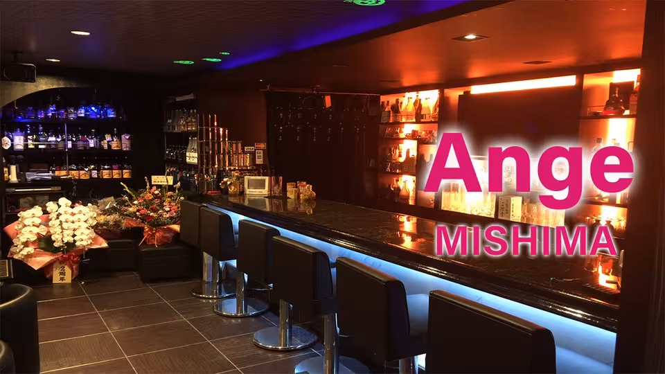 アンジュ(三島市 一番町のガールズバー)の求人情報
