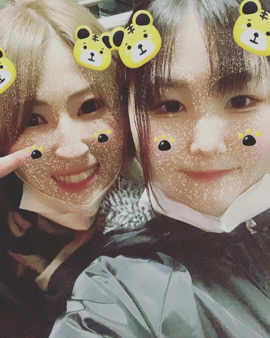 みずき