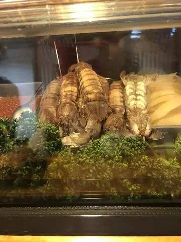 長瀬 純恋