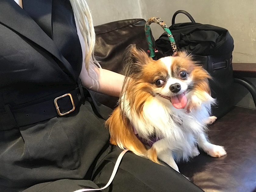 あいら