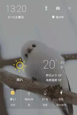 ひな