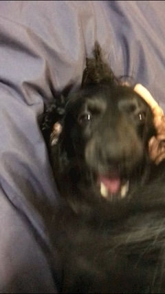 りえ