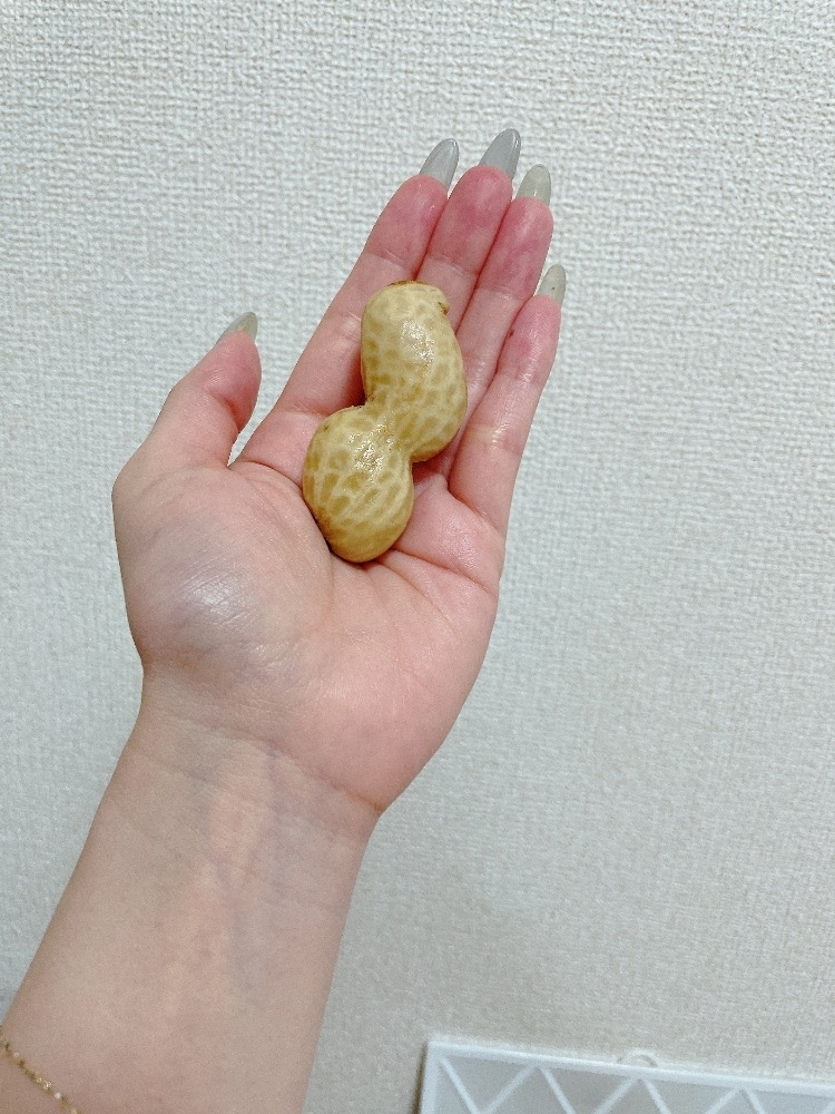 智華
