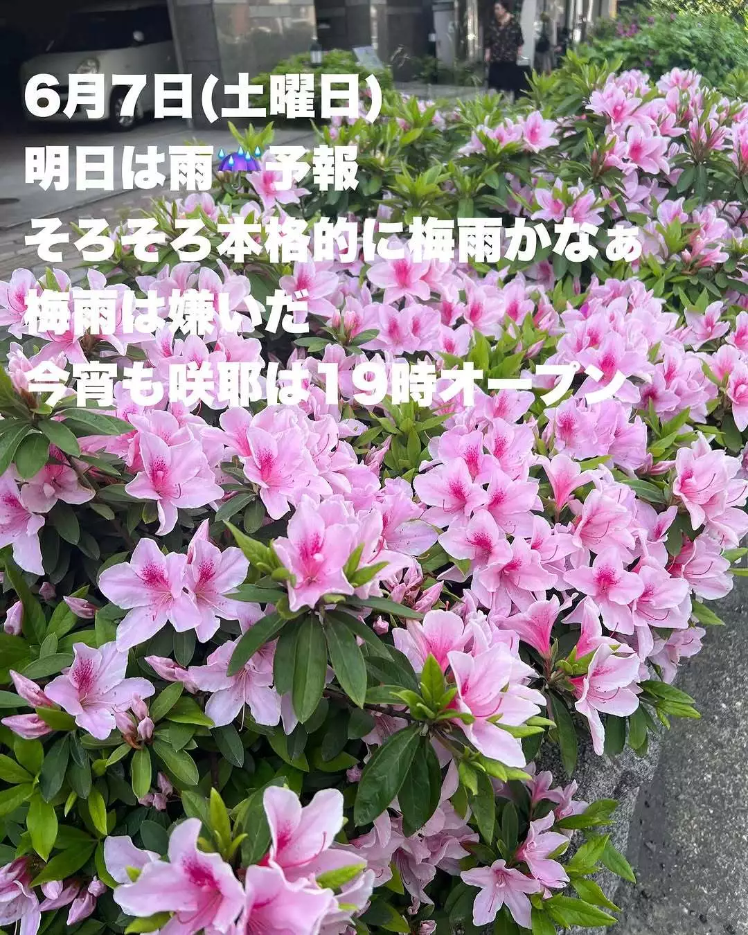 藤本 祐子ママ