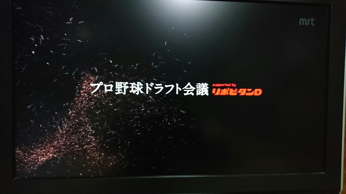 五条 椿