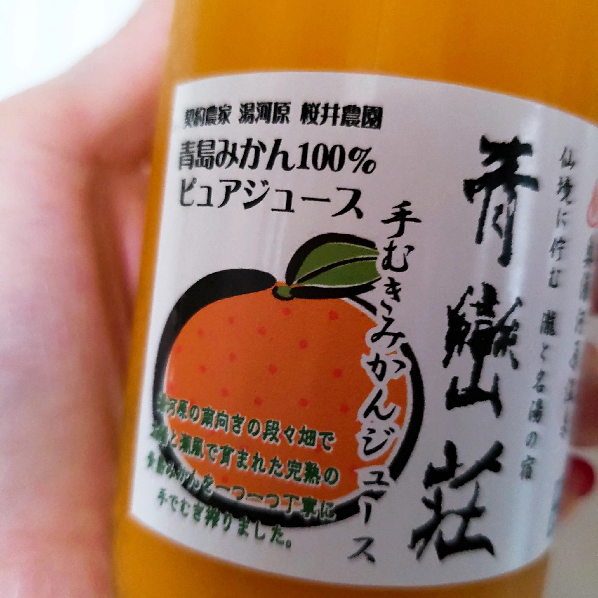 紫音