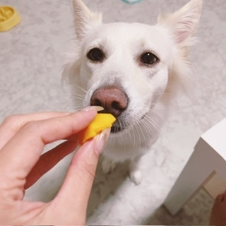 京 さゆみ