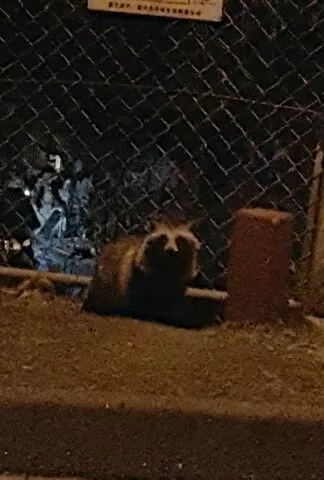 愛乃 悠稀