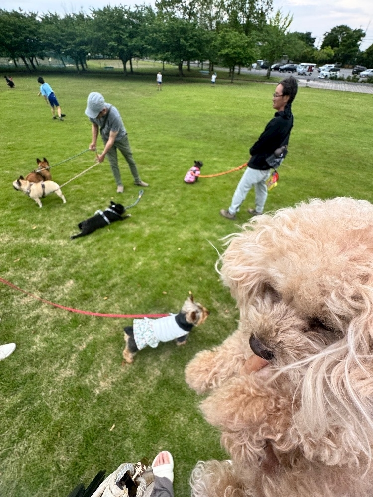 いる