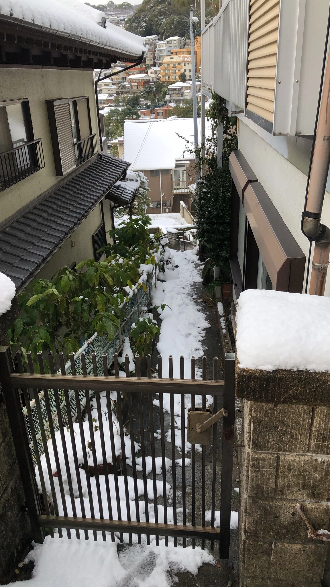 藤本 祐子ママ