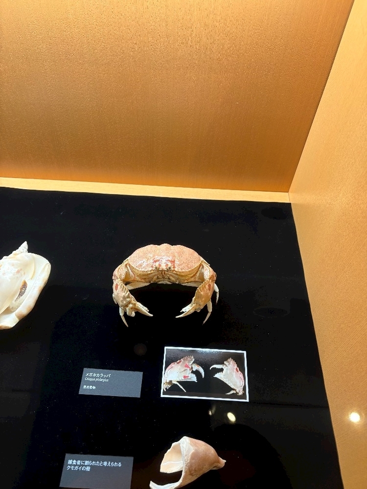 らん