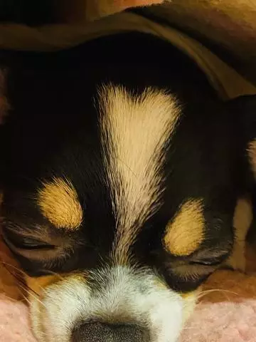 長瀬 純恋