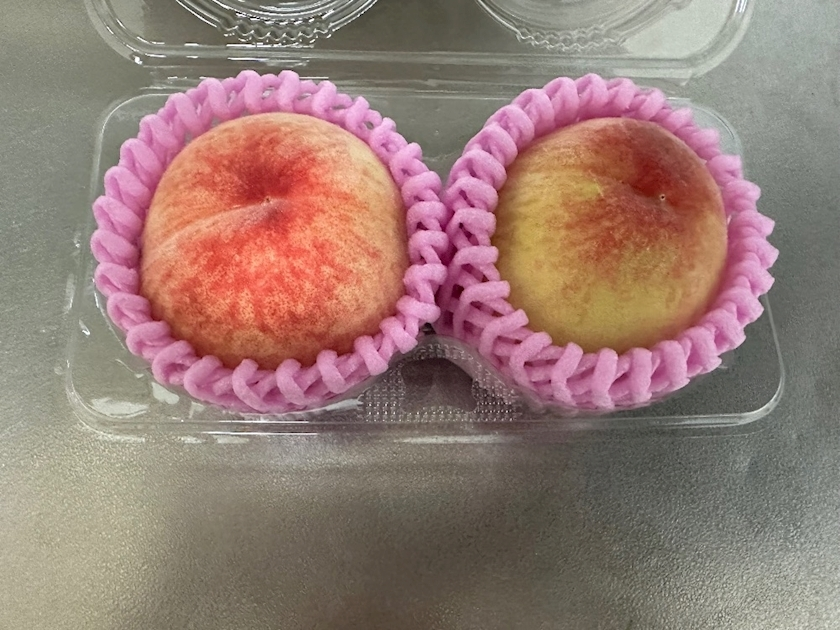 えりか