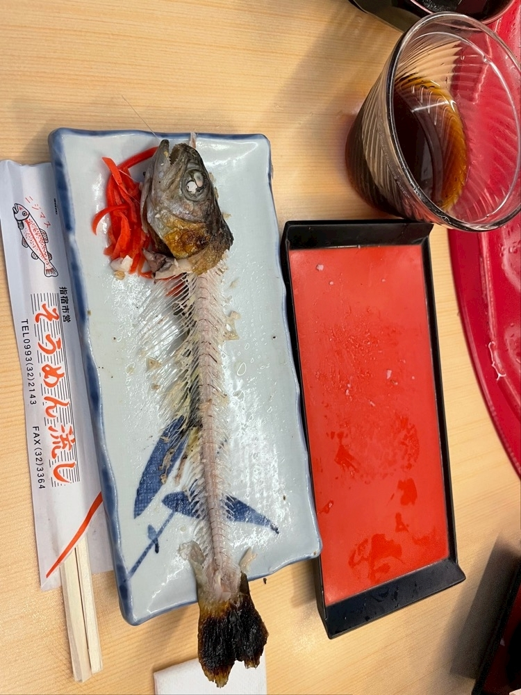 小川 真央