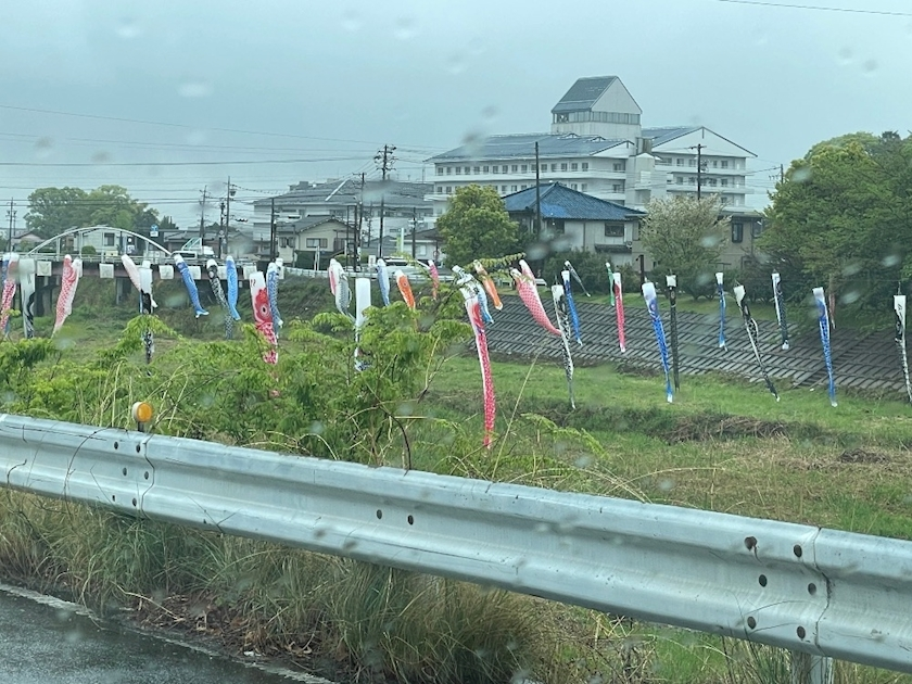朝倉 しおり