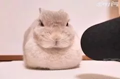 みあ