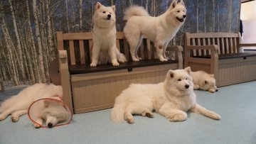 のどち スタッフ