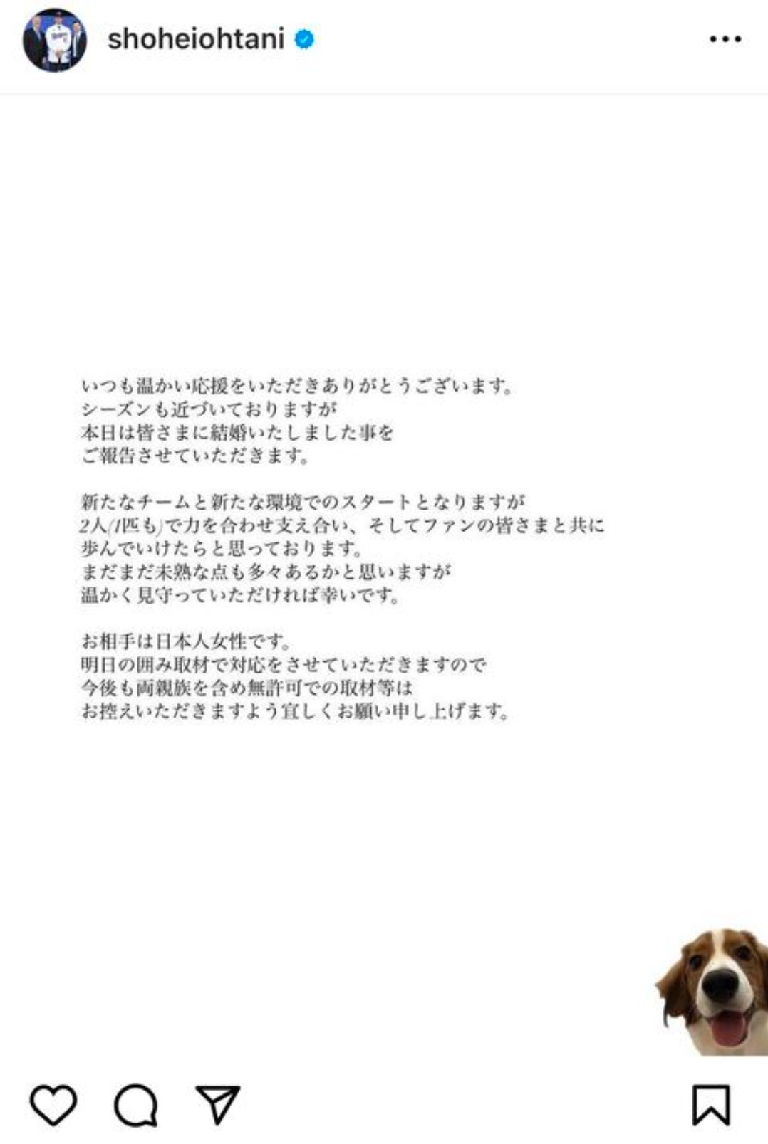 しゃも