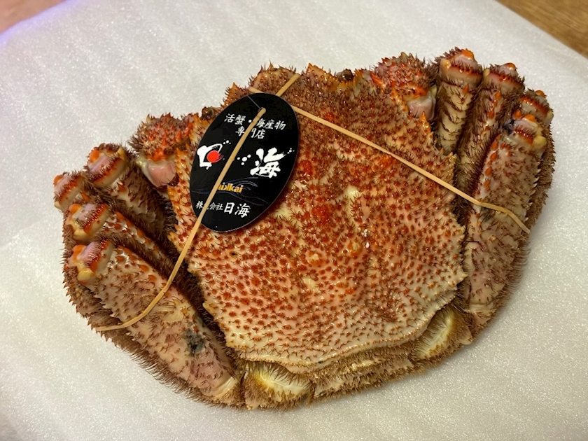 香川 ゆい
