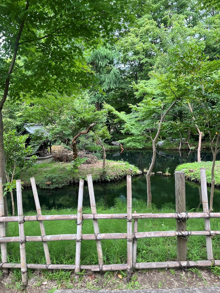 かんな