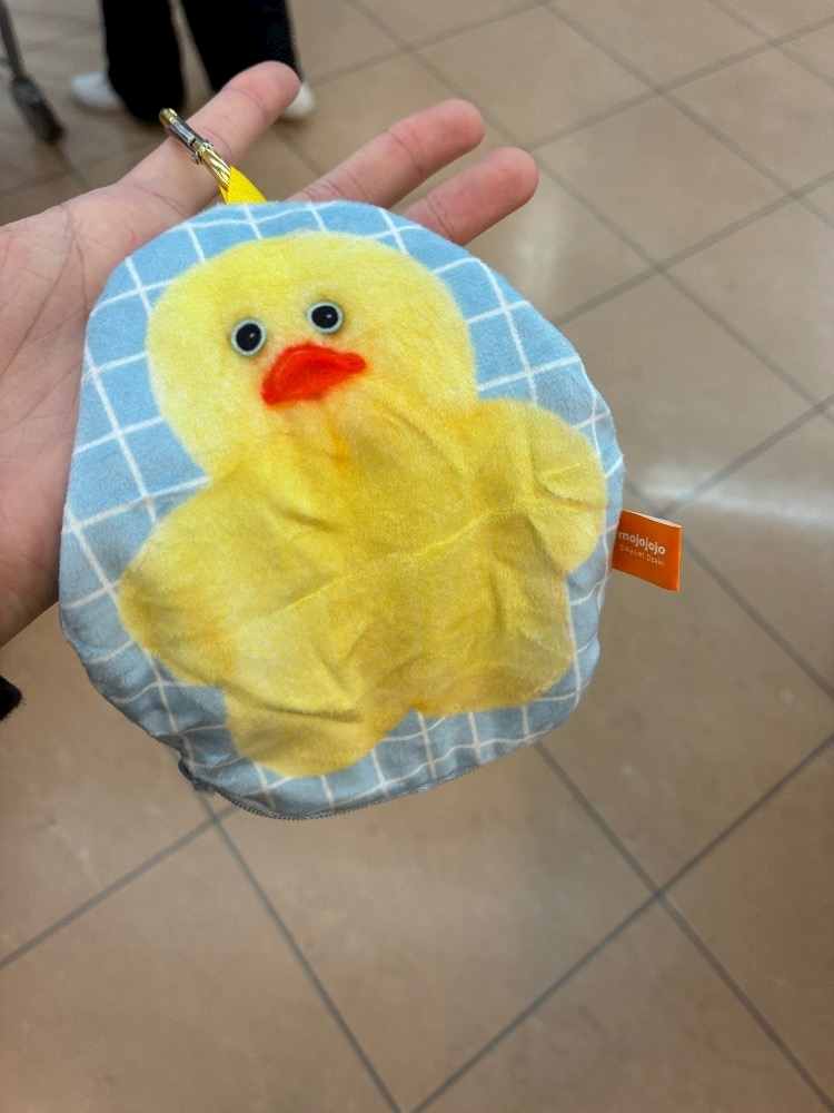 泉 りさ