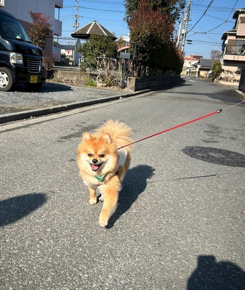 なお