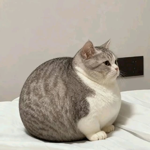 はるせ