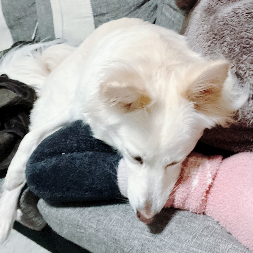 京 さゆみ