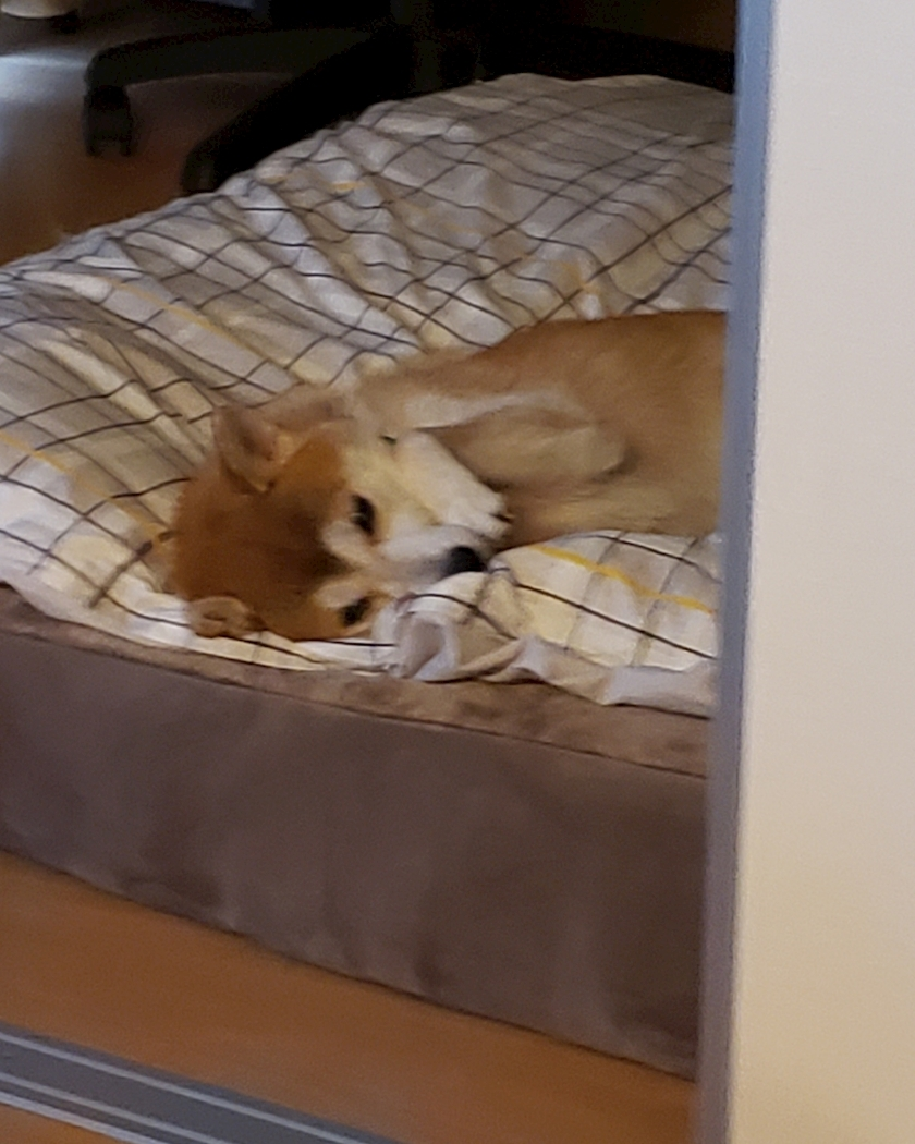 エミ （スタッフ）