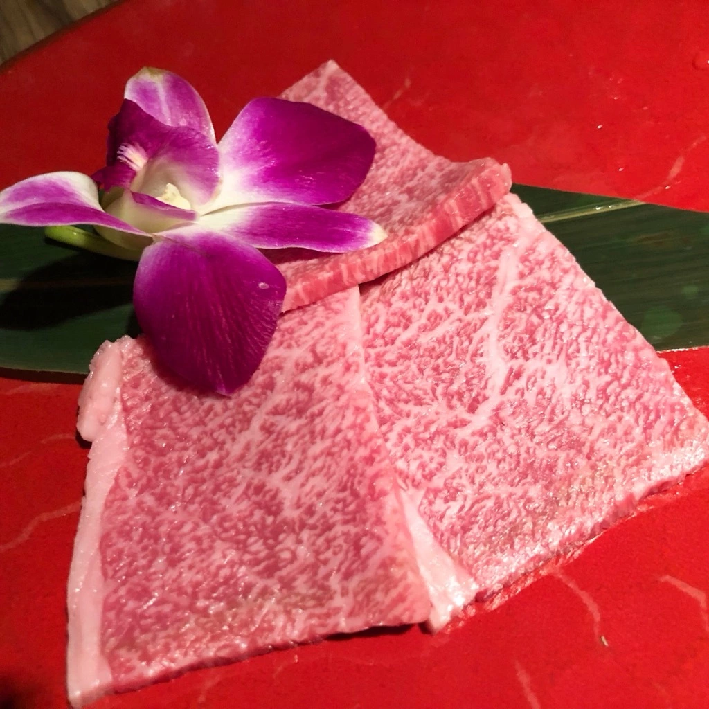 橘 あいな