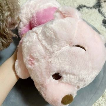 荒木 ナツミ