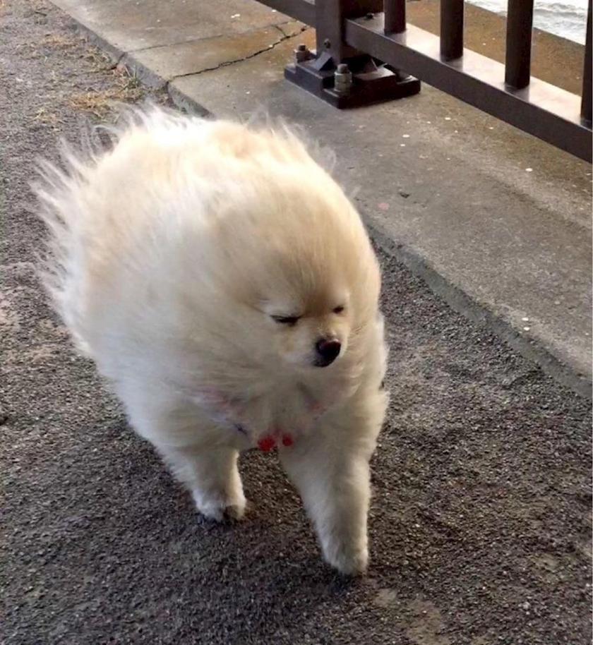 なお