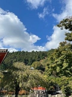成海 まお