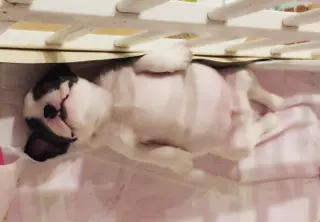 妃 えりか