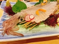 やよい
