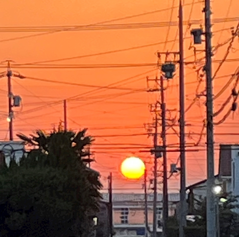 京 さゆみ