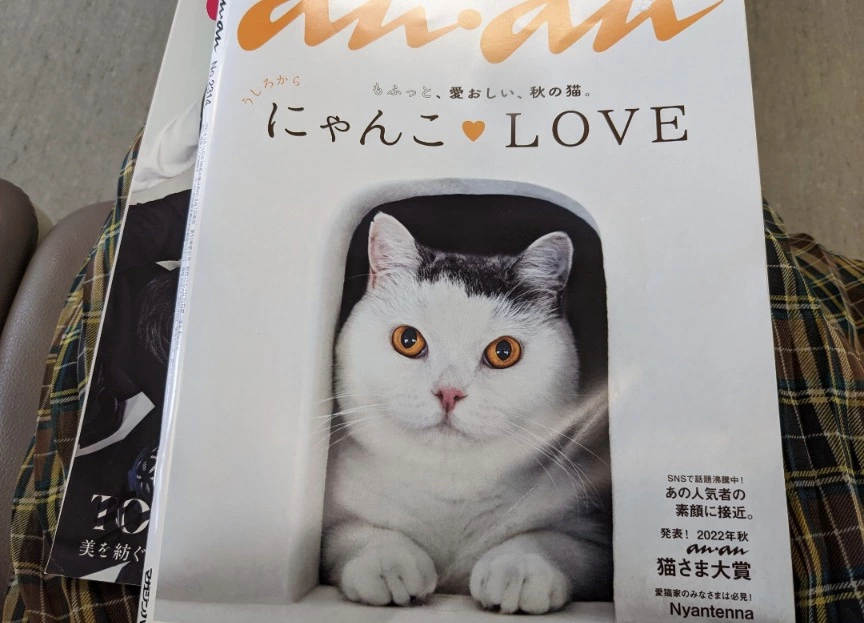 五条 椿