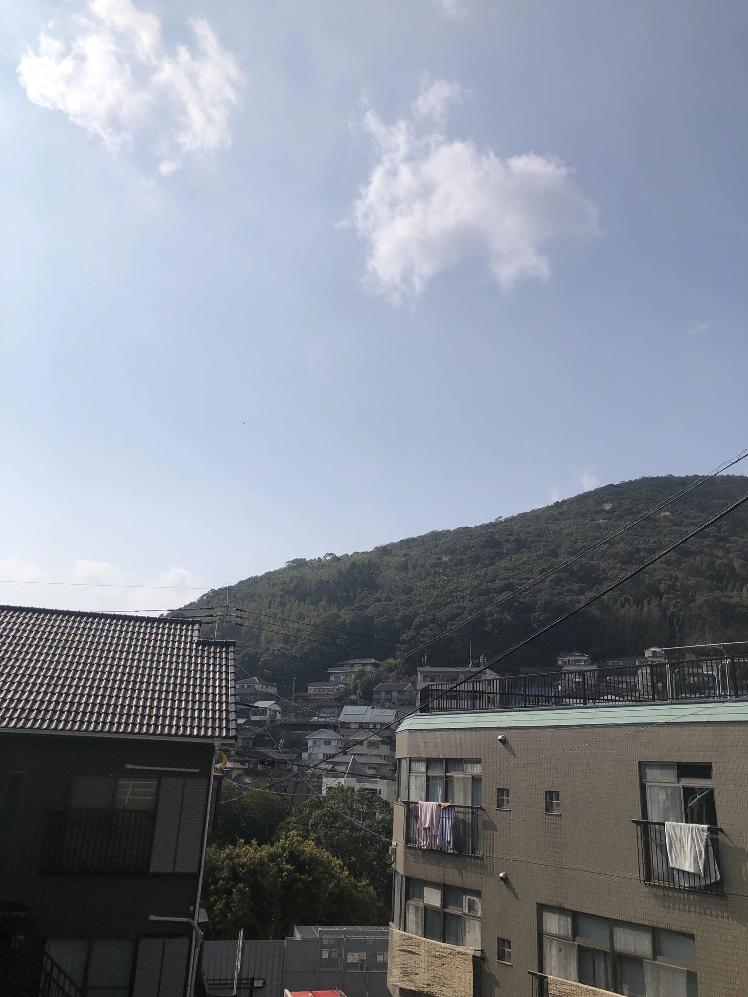 藤本 祐子ママ