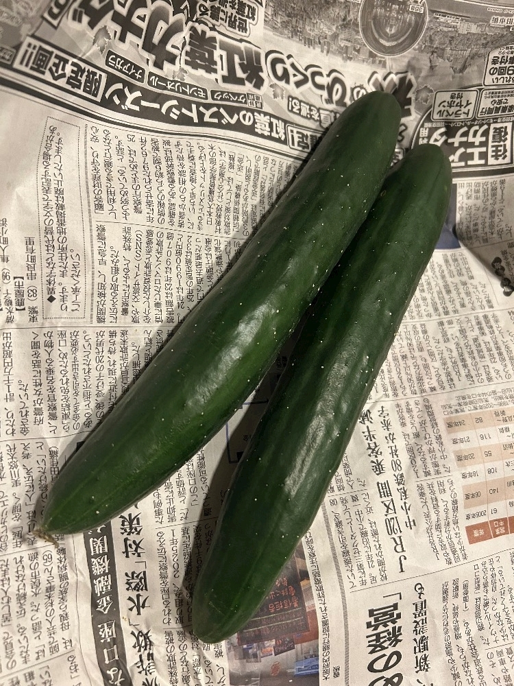 美月