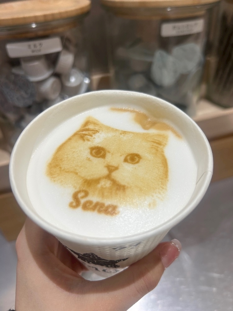 セナ