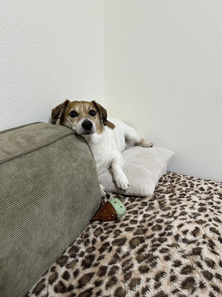 れお