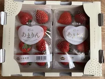 白石 愛莉