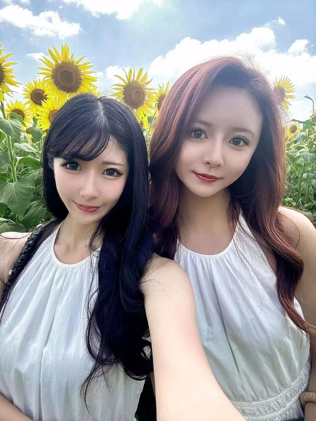 らん