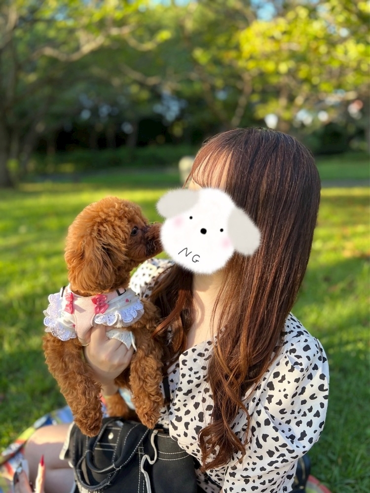 あゆ