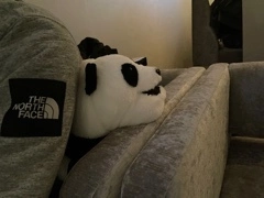 立華 碧