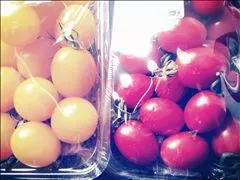 桃瀬 百華