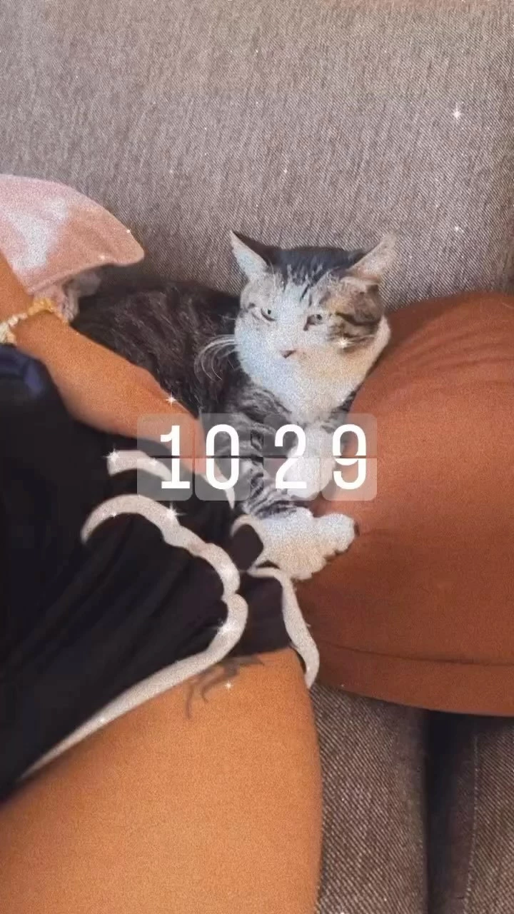 ニナ