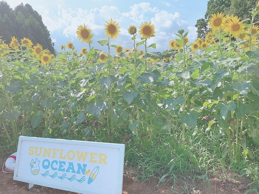 りな